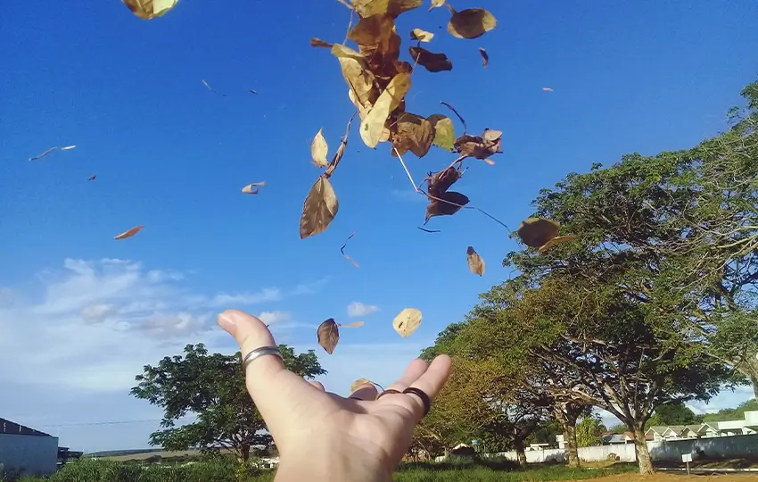 Vivendo Cada Estação da Vida